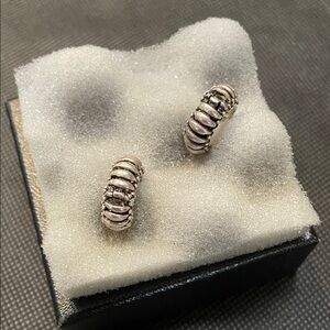 Elegant Silver Hoop Earrings